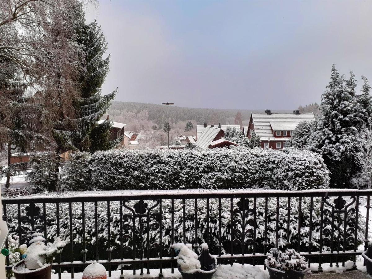 Villa Tannerhof Braunlage Εξωτερικό φωτογραφία