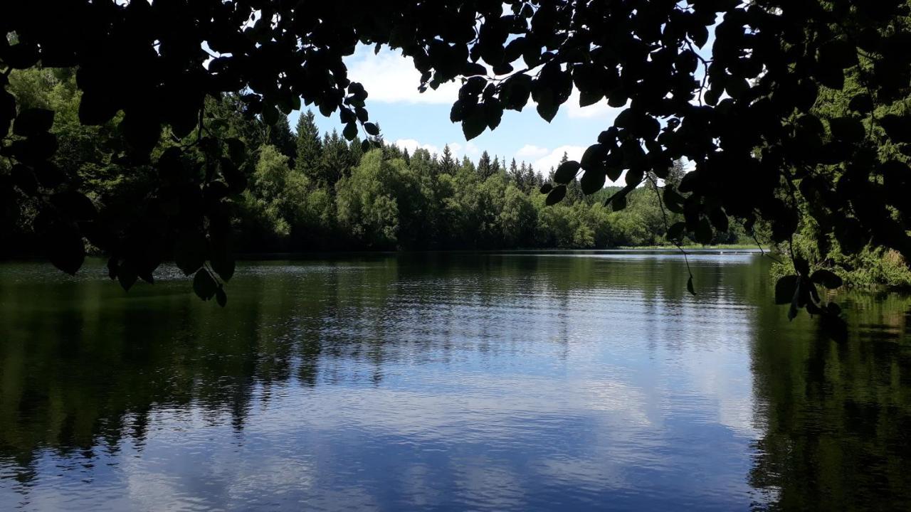 Villa Tannerhof Braunlage Εξωτερικό φωτογραφία