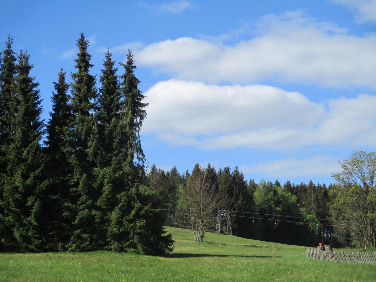 Villa Tannerhof Braunlage Εξωτερικό φωτογραφία