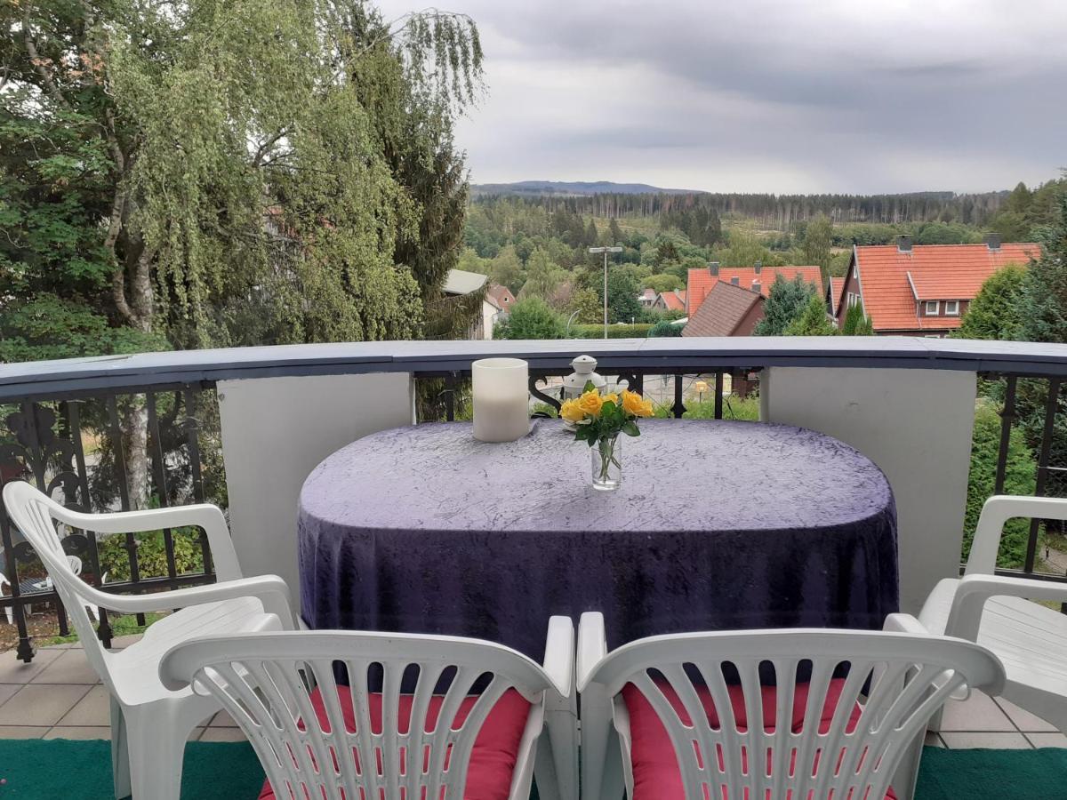 Villa Tannerhof Braunlage Εξωτερικό φωτογραφία