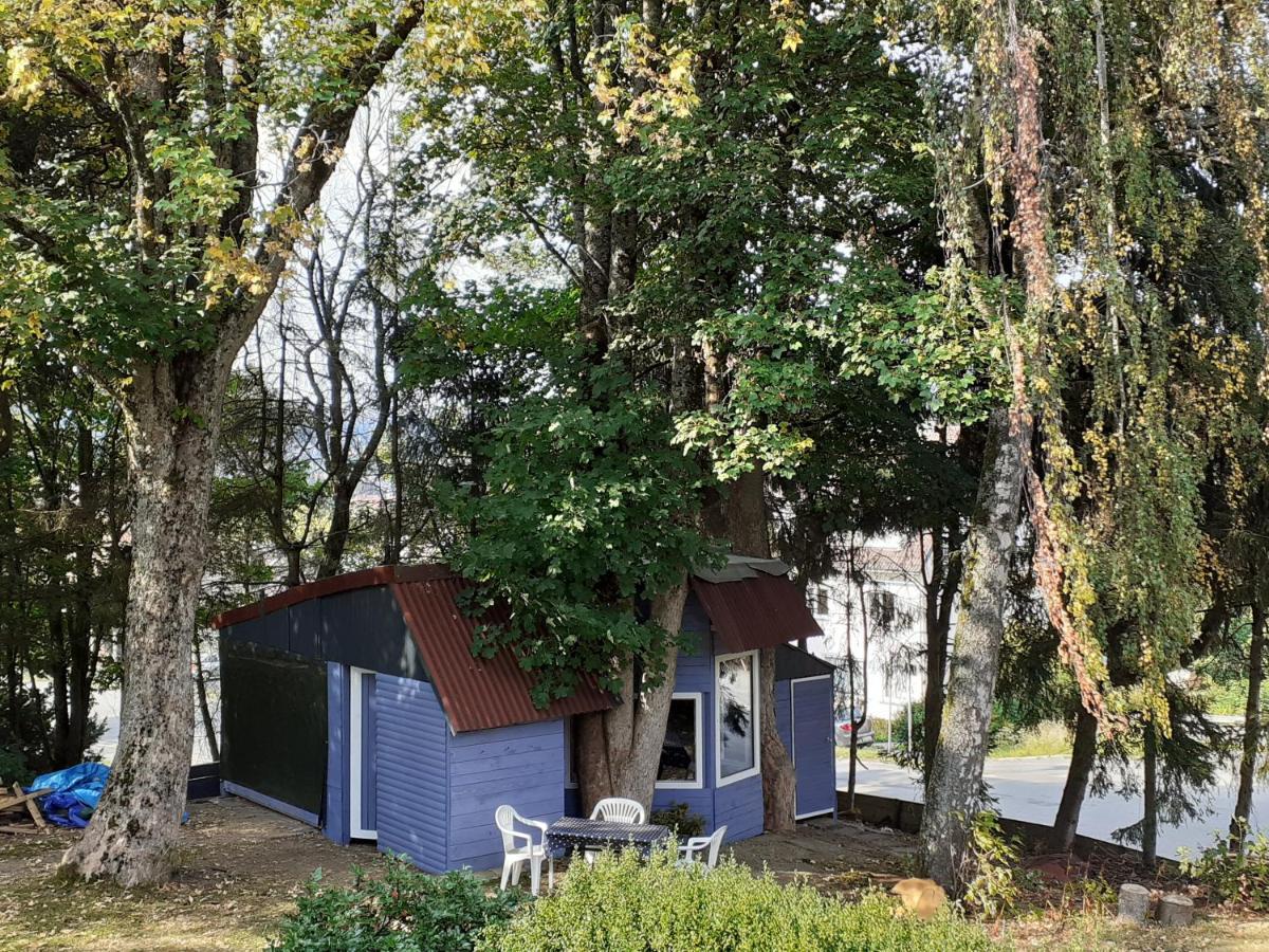 Villa Tannerhof Braunlage Εξωτερικό φωτογραφία